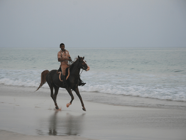 salalah beach rider