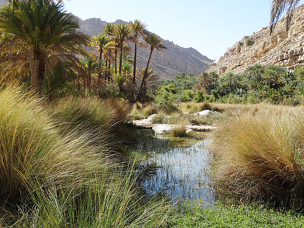 Wadi Bani Khalid