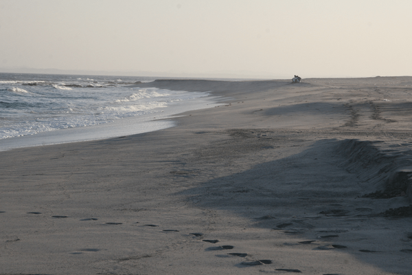 masirah island beach sunset