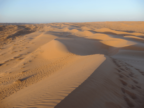 wahiba sand dunes oman
