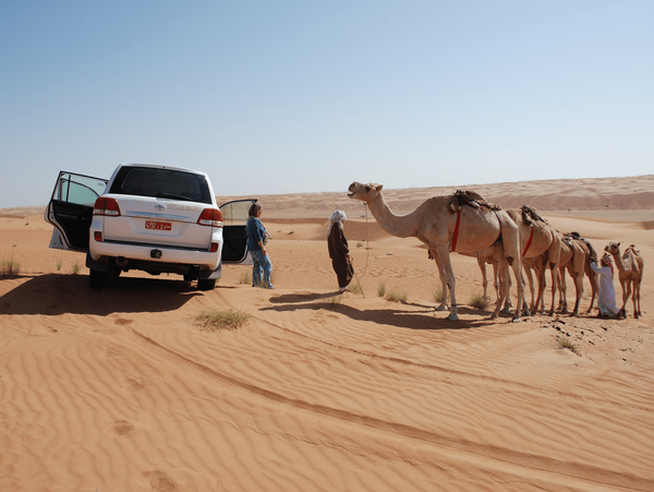 wahiba desert tour