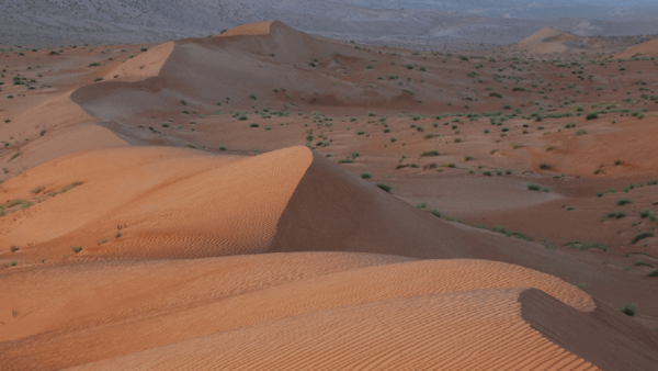 Sand dunes of the Wahiba Desert, Oman