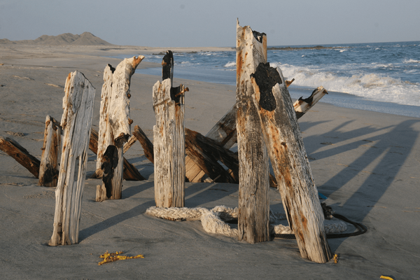 shipwreck on masirah island beach