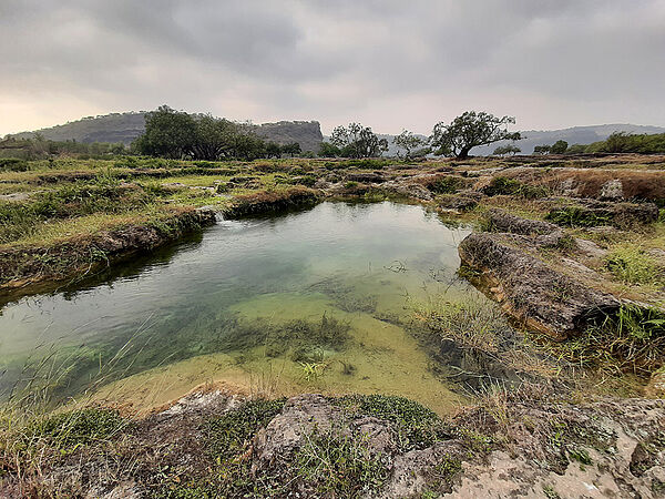 Wadi Darbat end of October