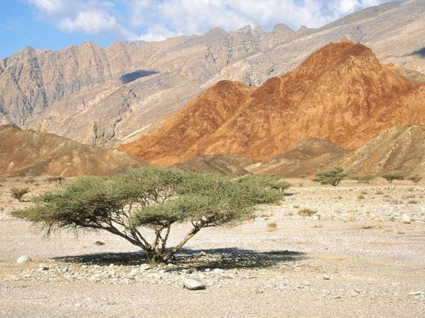 Hajar mountains oman