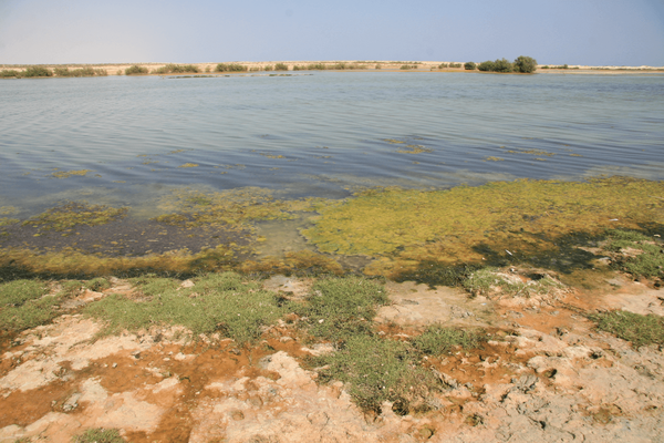 Lagoon on the coast of central Oman