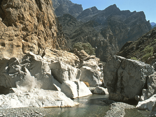 wadi bani awf