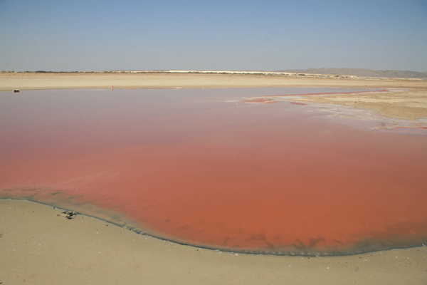 central oman pink lagoon