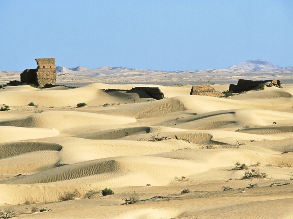 wahiba desert dunes