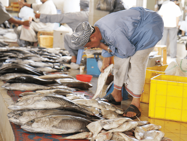 Im Fischmarkt von Muttrah