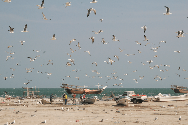 Fischer am Strand von Masirah