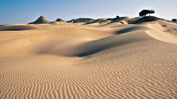 Sanddünen in der Wahiba Wüste