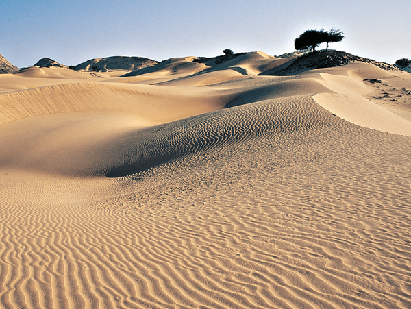 Sanddunes of the Wahiba desert in Oman