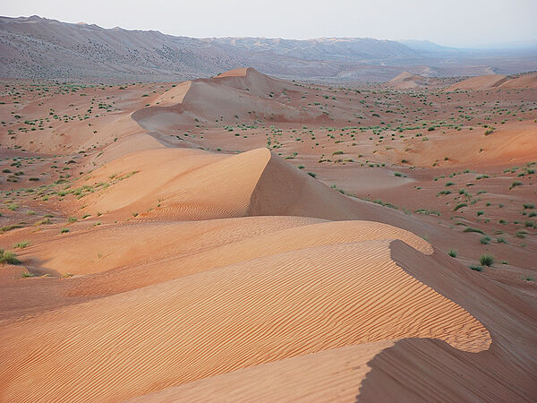 Sanddünen der Wahiba
