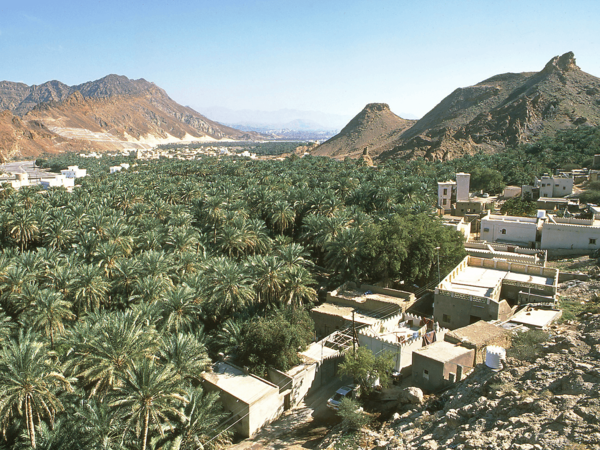 landscape at Fanja oasis