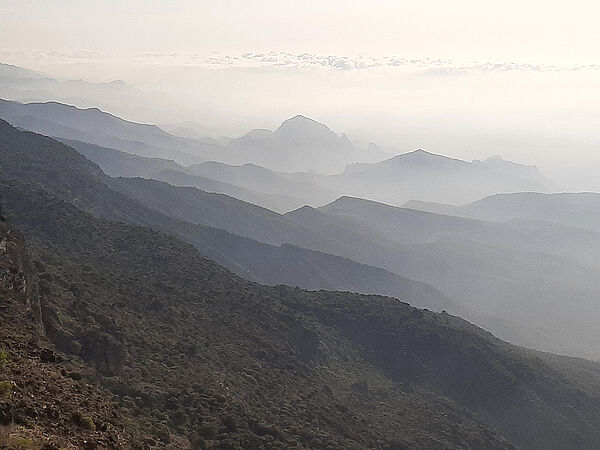 [Translate to English:] Morgen am Djebel Samhan