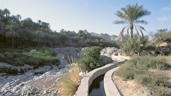 Falaj im Wadi Al Hoqain