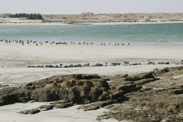 Central Oman coast