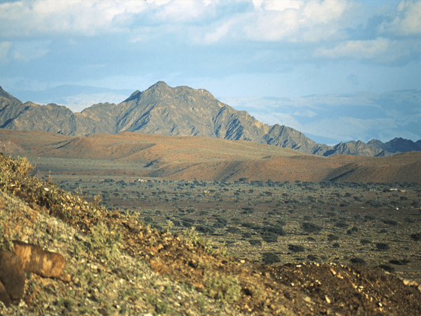 Landschaft der Sharqiyya