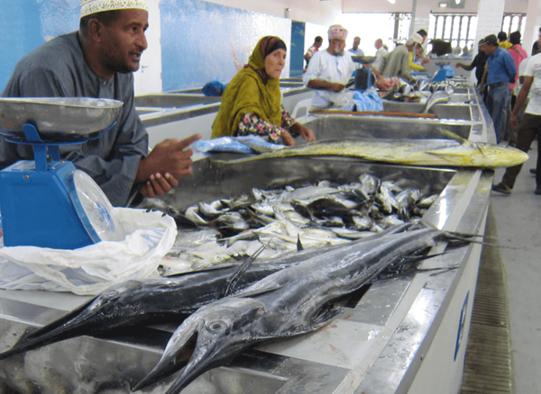 Fischmarkt in Mattrah, Rundreise Oman