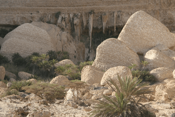 Wadi Shuwaymiyya oman